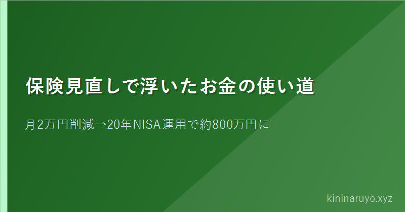 保険見直しで浮いたお金の使い道