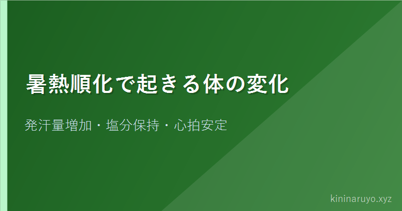 暑熱順化で起きる体の変化