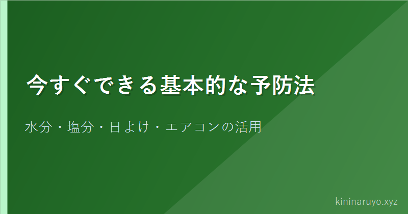 今すぐできる基本的な予防法