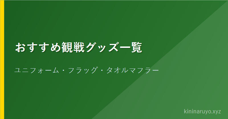 おすすめ観戦グッズ一覧